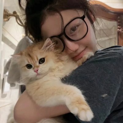 丁丁历险记第三季